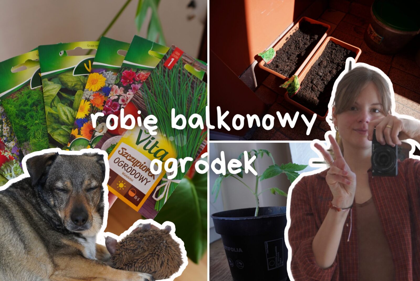 Robię balkonowy ogródek z&nbsp;okazji pierwszego dnia wiosny