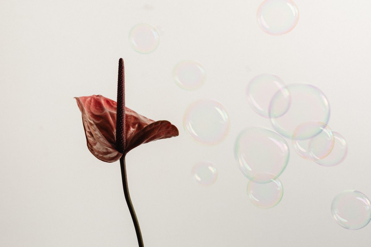 5 rzeczy, które rozczarowały mnie w&nbsp;dorosłym życiu